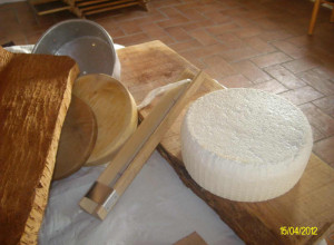 image10 Spridda